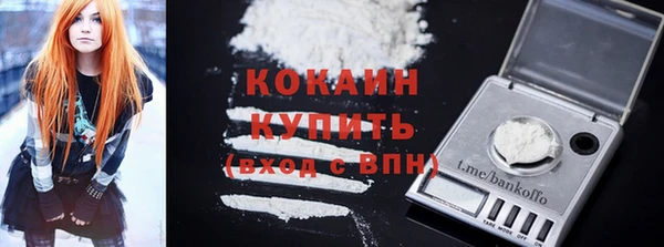 шишки Нефтекумск