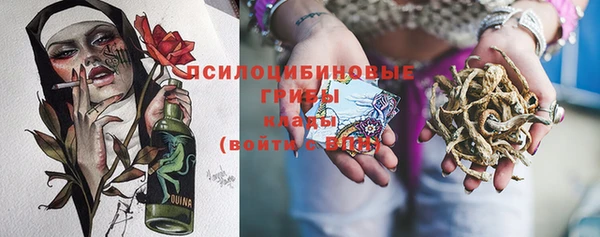 шишки Нефтекумск